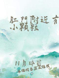 肛门附近有白色小颗粒