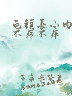 龟头长小肉疙瘩不疼不痒