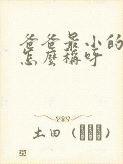 爸爸最小的弟弟怎么称呼