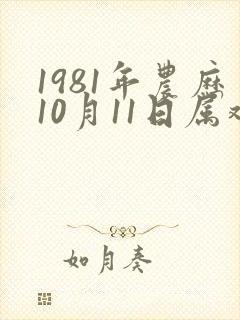 1981年农历10月11日属鸡的命运如何