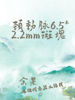 颈动脉6.5*2.2mm斑块