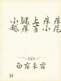 小腿上痒痒越挠越痒有小疙瘩