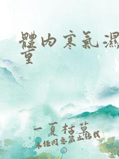 体内寒气湿气太重