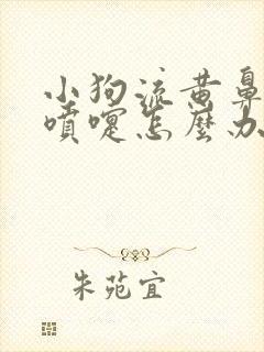 小狗流黄鼻涕打喷嚏怎么办