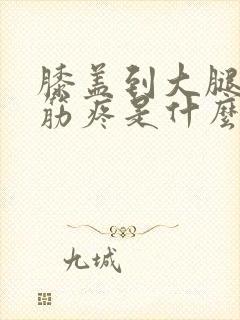 膝盖到大腿外侧筋疼是什么原因