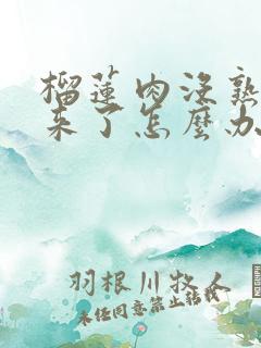 榴莲肉没熟拿出来了怎么办