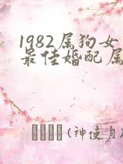 1982属狗女最佳婚配属相