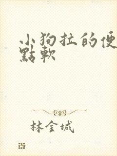 小狗拉的便便有点软