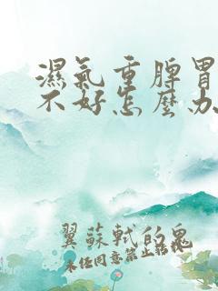 湿气重脾胃运化不好怎么办