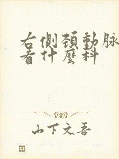 右侧颈动脉斑块看什么科