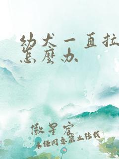 幼犬一直拉软便怎么办