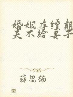 婚姻存续期间丈夫不给妻子生活费