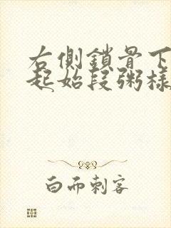 右侧锁骨下动脉起始段粥样斑块