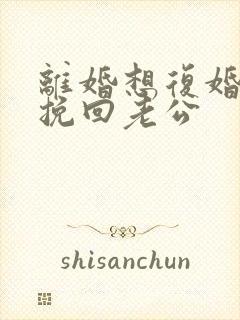 离婚想复婚怎么挽回老公