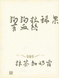 狗狗拉稀果冻状有血丝