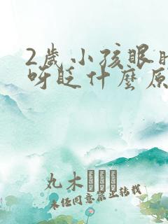 2岁小孩眼睛眨呀眨什么原因