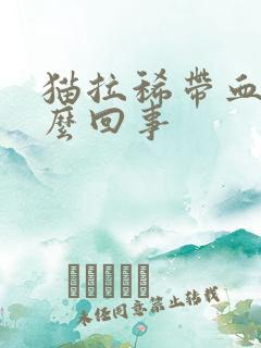 猫拉稀带血是怎么回事