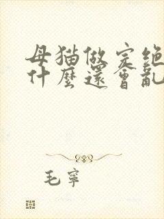 母猫做完绝育为什么还会乱尿