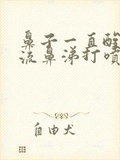 鼻子一直酸酸的流鼻涕打喷嚏流眼泪