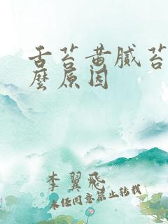 舌苔黄腻苔是什么原因