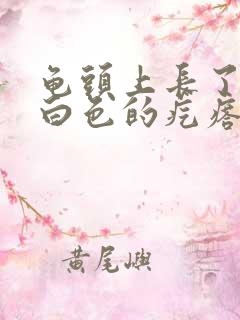 龟头上长了一圈白色的疙瘩