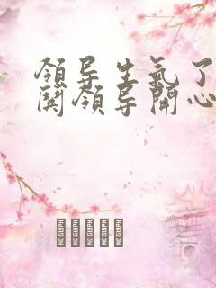 领导生气了怎样哄领导开心