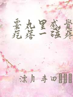 睾丸里感觉有个疙瘩一碰疼