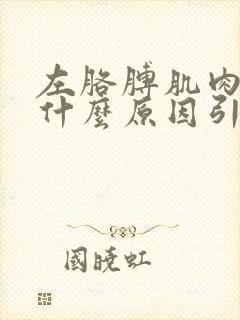 左胳膊肌肉疼痛什么原因引起的