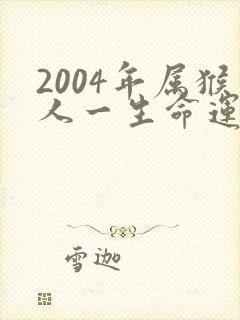 2004年属猴人一生命运如何
