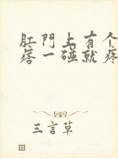 肛门上有个硬疙瘩一碰就疼