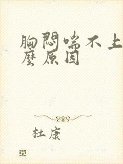 胸闷喘不上气什么原因