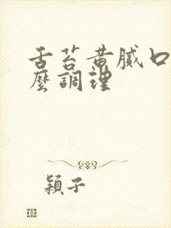 舌苔黄腻口苦怎么调理