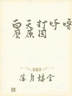 白天打呼噜是什么原因