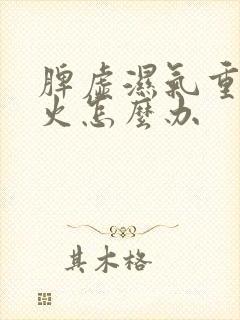 脾虚湿气重爱上火怎么办