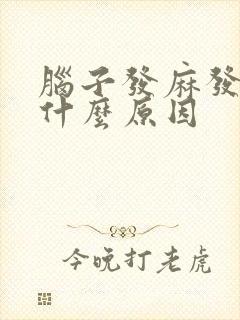 脑子发麻发木是什么原因