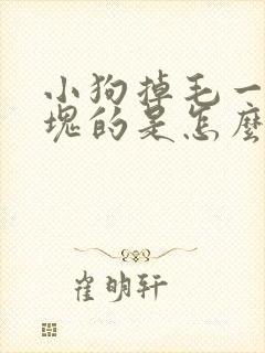 小狗掉毛一块一块的是怎么回事