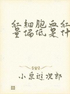 红细胞血红蛋白量偏低是什么原因