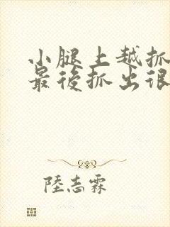 小腿上越抓越痒最后抓出很多小疙瘩