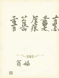 舌苔厚黄有裂纹有齿痕是怎么回事