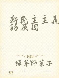 新民主主义革命的原因