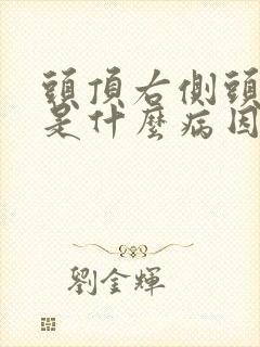 头顶右侧头发白是什么病因