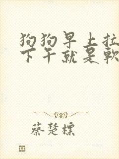 狗狗早上拉的好下午就是软便