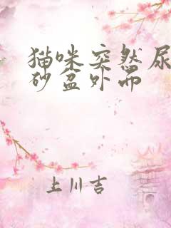 猫咪突然尿在猫砂盆外面