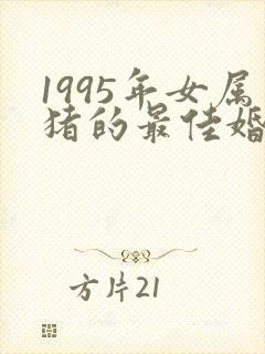 1995年女属猪的最佳婚配