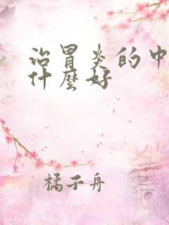 治胃炎的中成药什么好