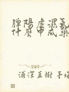 脾阳虚湿气重吃什么中成药最好