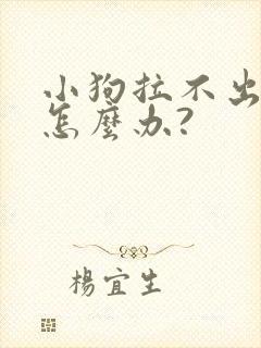 小狗拉不出粑粑怎么办?