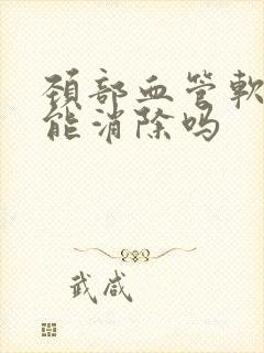 颈部血管软斑块能消除吗