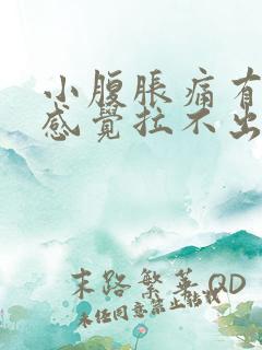 小腹胀痛有大便感觉拉不出