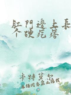 肛门边上长了一个硬疙瘩